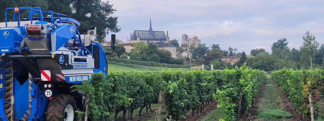 photo vendanges 2022- chateau de la durandiere