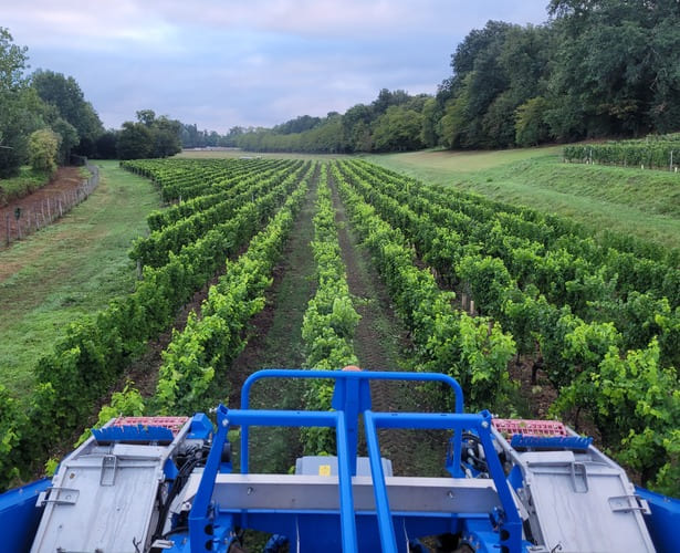 photos vendanges 20222 - durandiere