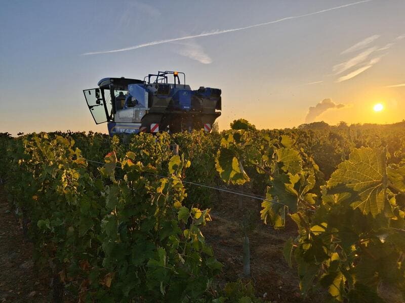 vendanges-2026-durandiere-1