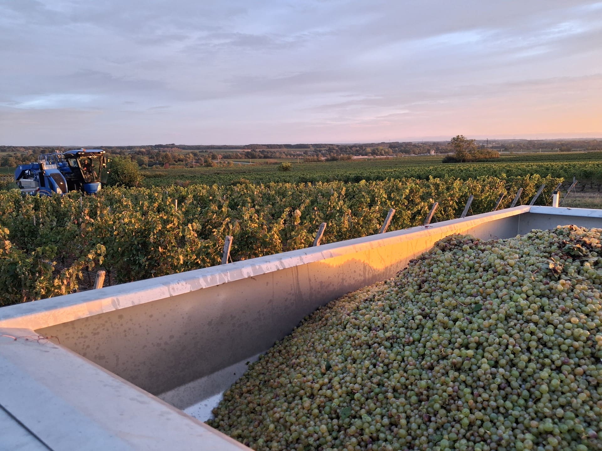 vendanges-2026